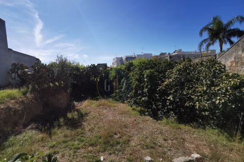 Terra a Calimera, Lecce, Calimera - € 85.000 | Ref: SE008 - foto 4
